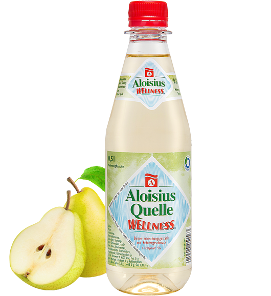 Aloisius-Quelle-Wellness